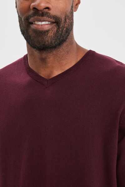 Pull avec col en V prune homme