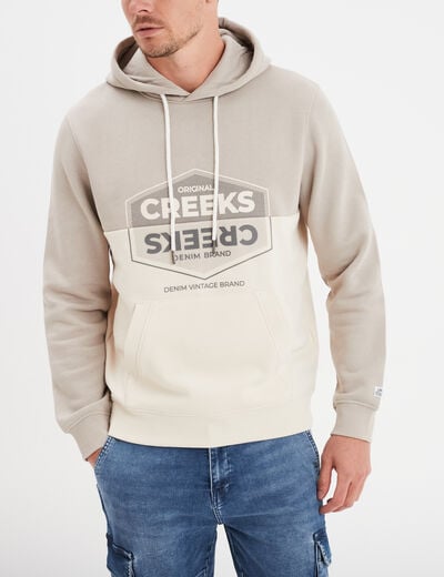 Sweat à capuche hoodie Creeks gris clair homme