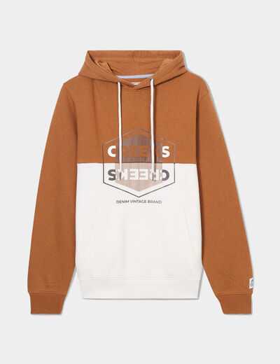 Sweat à capuche hoodie Creeks colorbloc marron homme