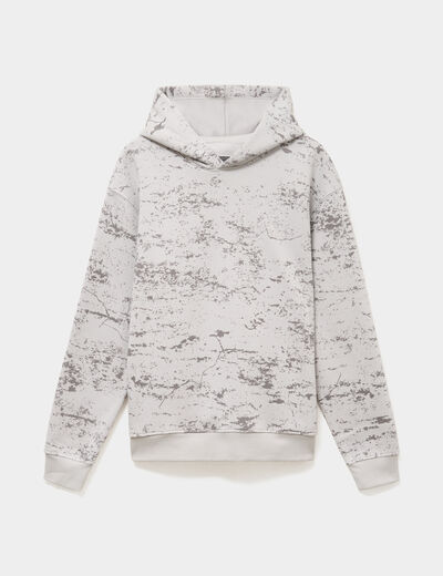 Sweat hoodie &agrave; capuche molleton gris homme