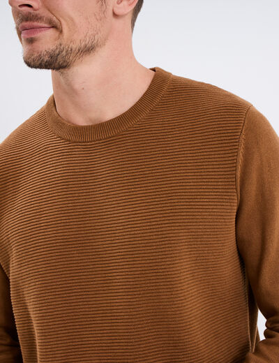 Pull col rond coton manches longues marron homme
