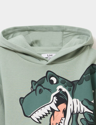Sweat hoodie oversize &agrave; capuche vert pastel gar&ccedil;on