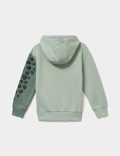 Sweat hoodie oversize &agrave; capuche vert pastel gar&ccedil;on