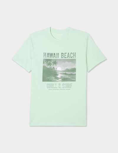 T-shirt col rond manches courtes coton vert pastel homme