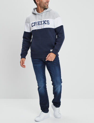 Sweat à capuche hoodie Creeks gris homme