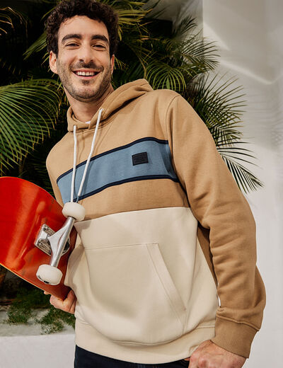 Sweat à capuche hoodie colorbloc Creeks taupe homme