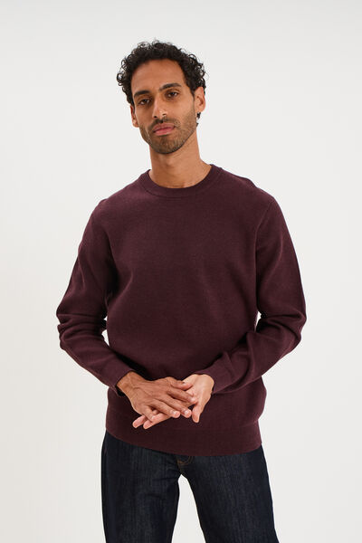 Pull col rond manches longues prune homme