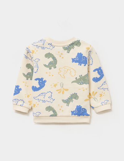 Sweat manches longues ecru b&eacute;b&eacute; gar&ccedil;on