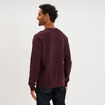 Pull col rond manches longues prune homme
