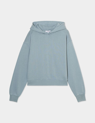 Sweat à capuche hoodie coton gris femme