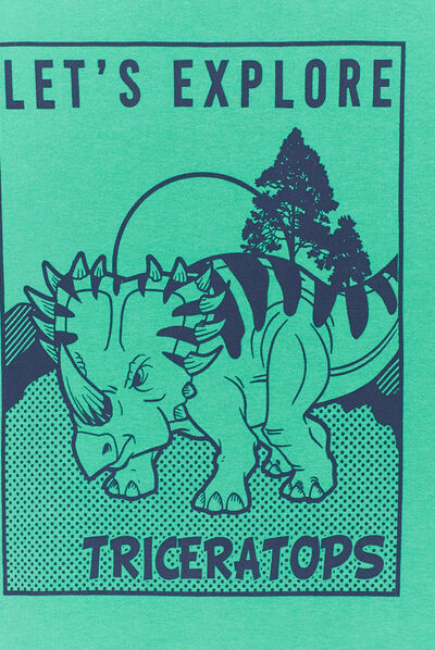 Sweat col rond manches longues dinosaure vert garçon
