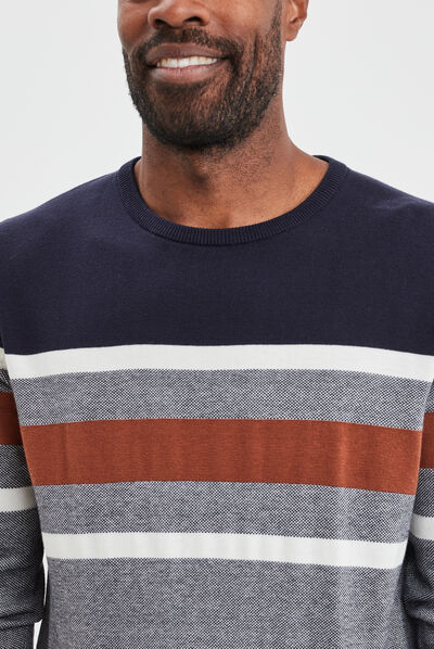 Pull col rond manches longues multicolore homme