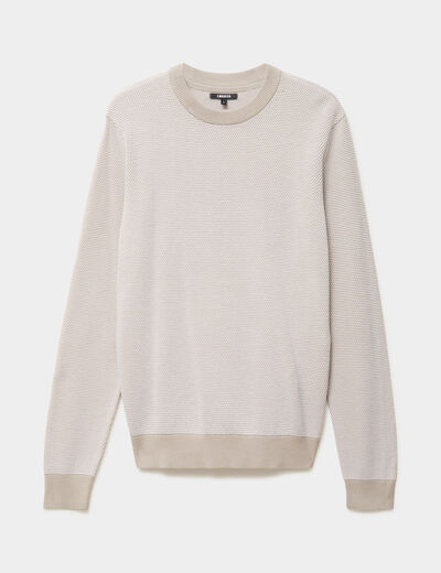 Pull col rond manches longues gris clair homme