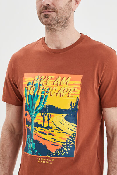 T-shirt manches courtes coton marron foncé homme