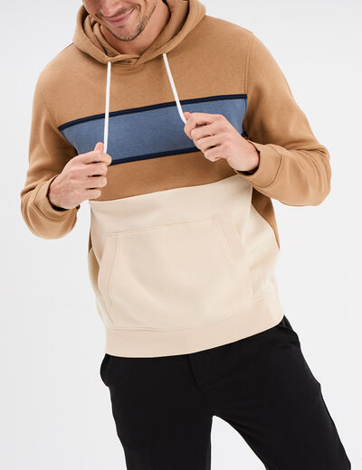 Sweat à capuche hoodie colorbloc Creeks taupe homme