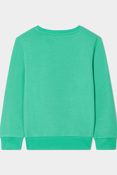 Sweat col rond manches longues dinosaure vert garçon