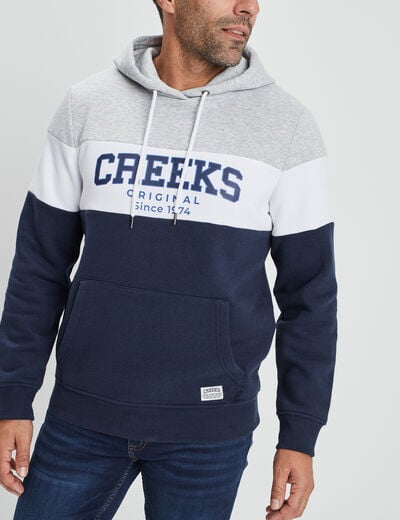 Sweat à capuche hoodie Creeks gris homme