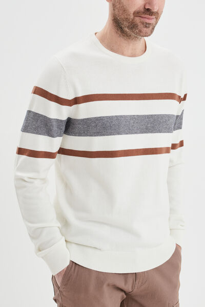Pull col rond manches longues multicolore homme