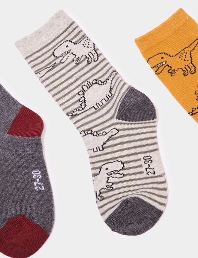 Lot 5 paires chaussettes multicolore garçon