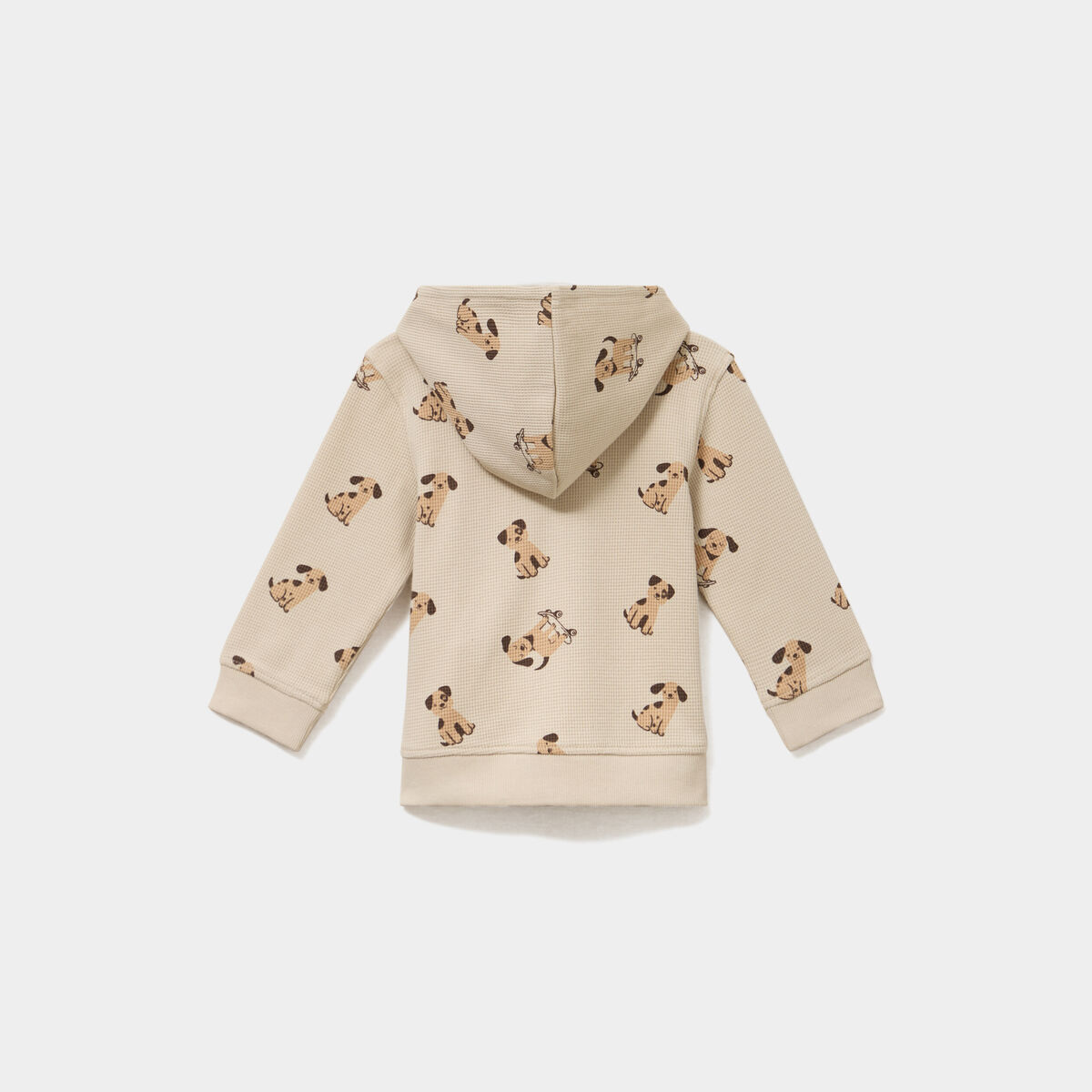 Sweat zipp&eacute; &agrave; capuche coton ecru b&eacute;b&eacute; gar&ccedil;on
