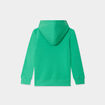 Sweat à capuche hoodie Creeks vert garçon