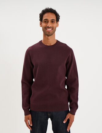 Pull col rond manches longues prune homme