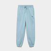 Pantalon de jogging regular Puma vert &eacute;meraude homme