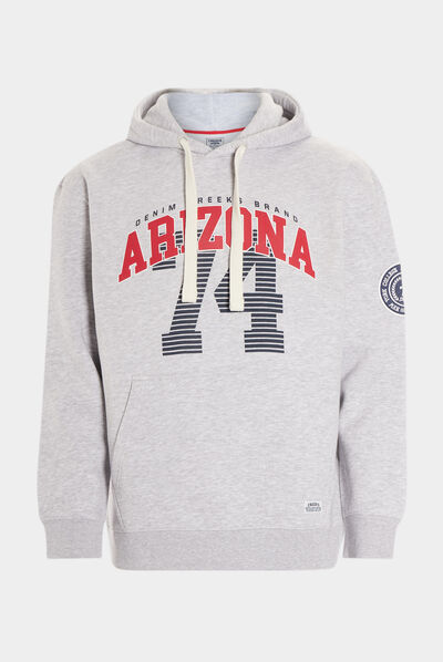 Sweat à capuche hoodie Creeks gris homme