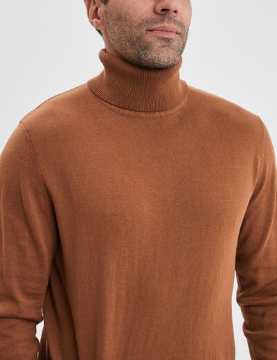 Pull avec col roul&eacute; camel homme