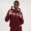 Sweat &agrave; capuche doublure effet sherpa violet fonc&eacute; femme
