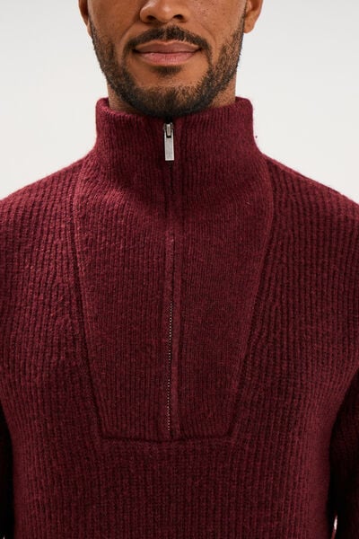 Pull avec col camionneur c&ocirc;tel&eacute; prune homme