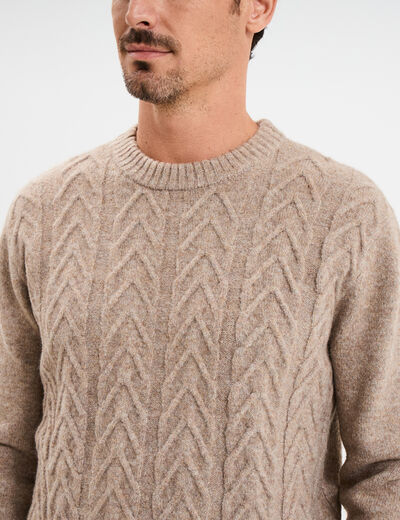 Pull col rond manches longues beige homme