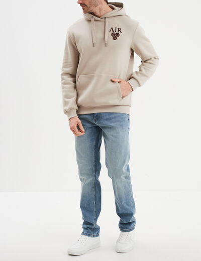 Sweat à capuche hoodie Avatar sable homme
