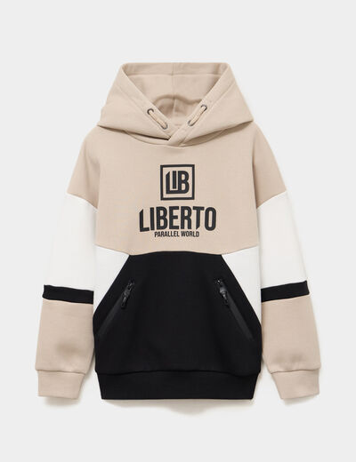 Sweat &agrave; capuche hoodie gris fonc&eacute; gar&ccedil;on