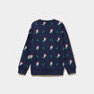 Sweat col rond manches longues No&euml;l bleu marine gar&ccedil;on