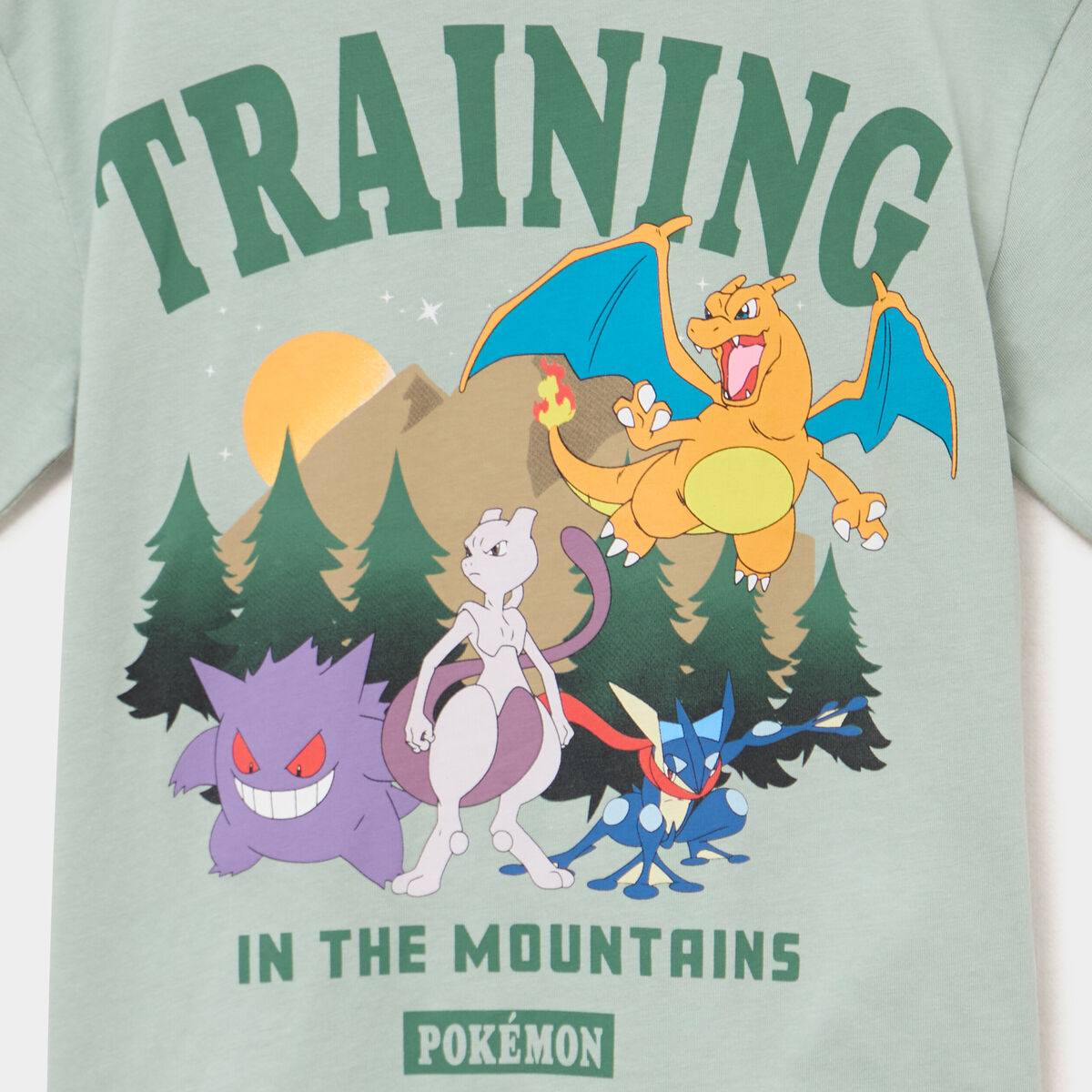 Tee-shirt Pikachu Evolution Pokemon garçon sable - Pokémon