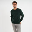 Pull col rond coton manches longues vert foncé homme