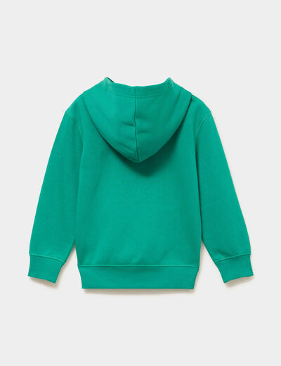 Sweat hoodie 1 poche manches longues vert gar&ccedil;on