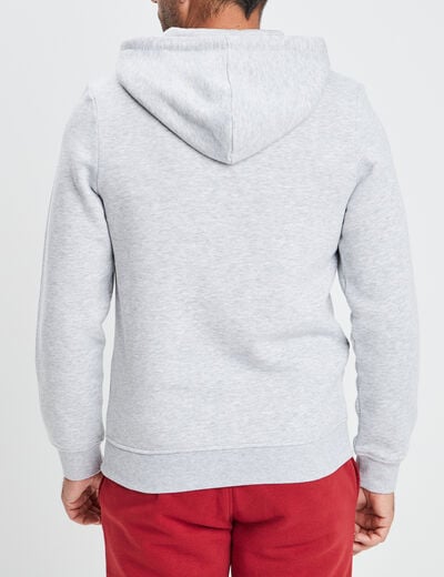 Sweat zippé à capuche Creeks gris clair homme