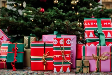 Tenue de No&euml;l pour femme