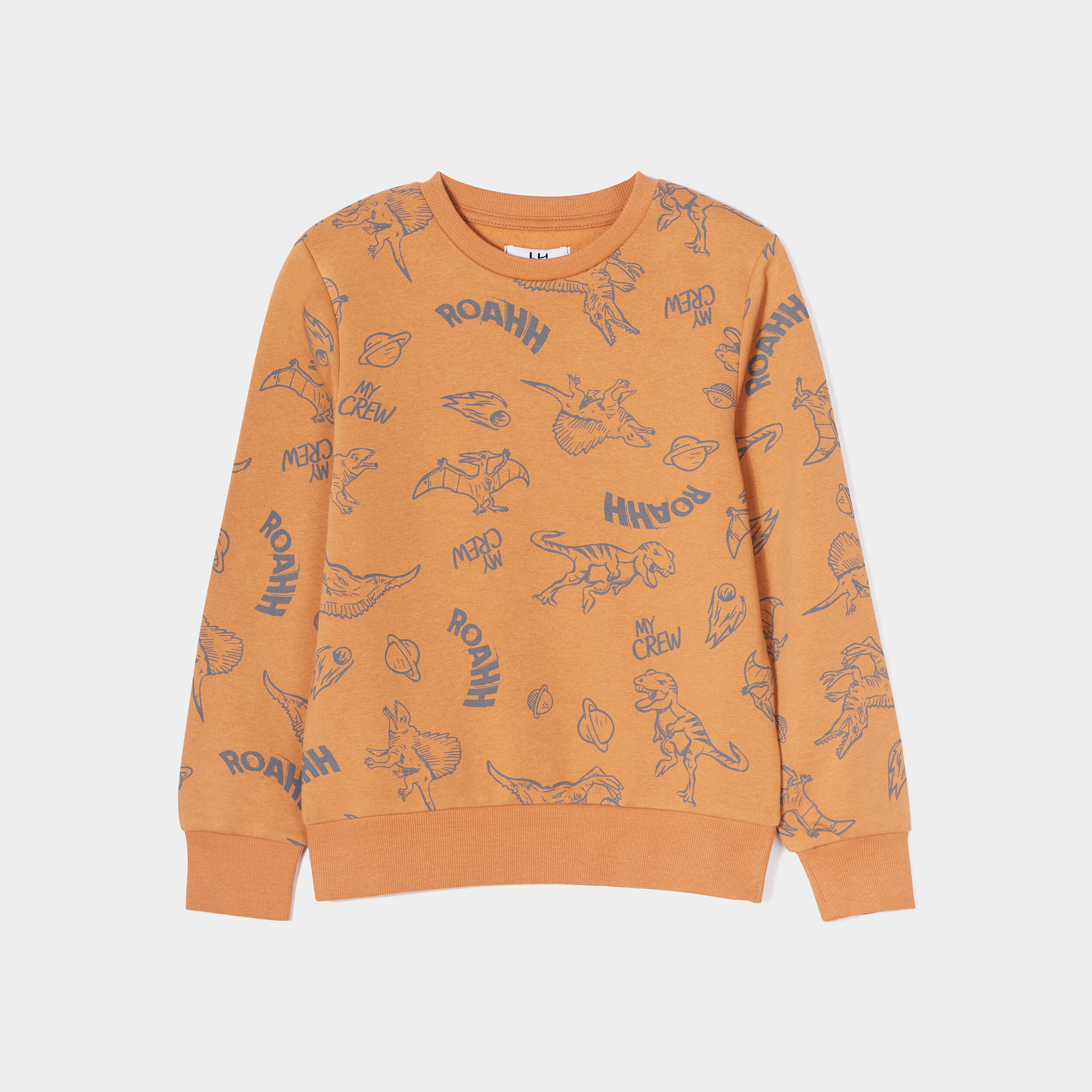 sweat manches longues camel garcon Sweat manches longues camel garçon
