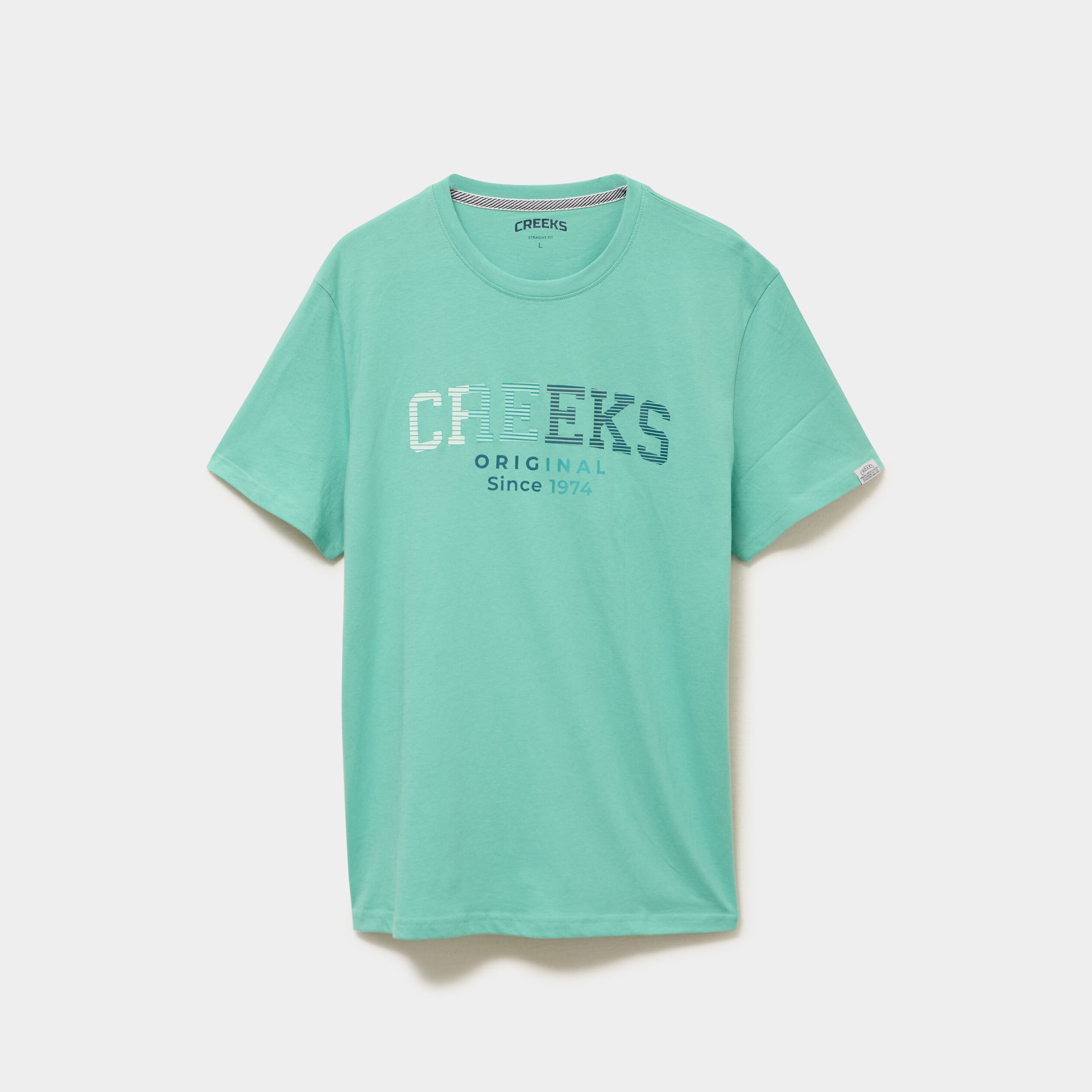T-shirt col rond manches courtes coton vert menthe homme