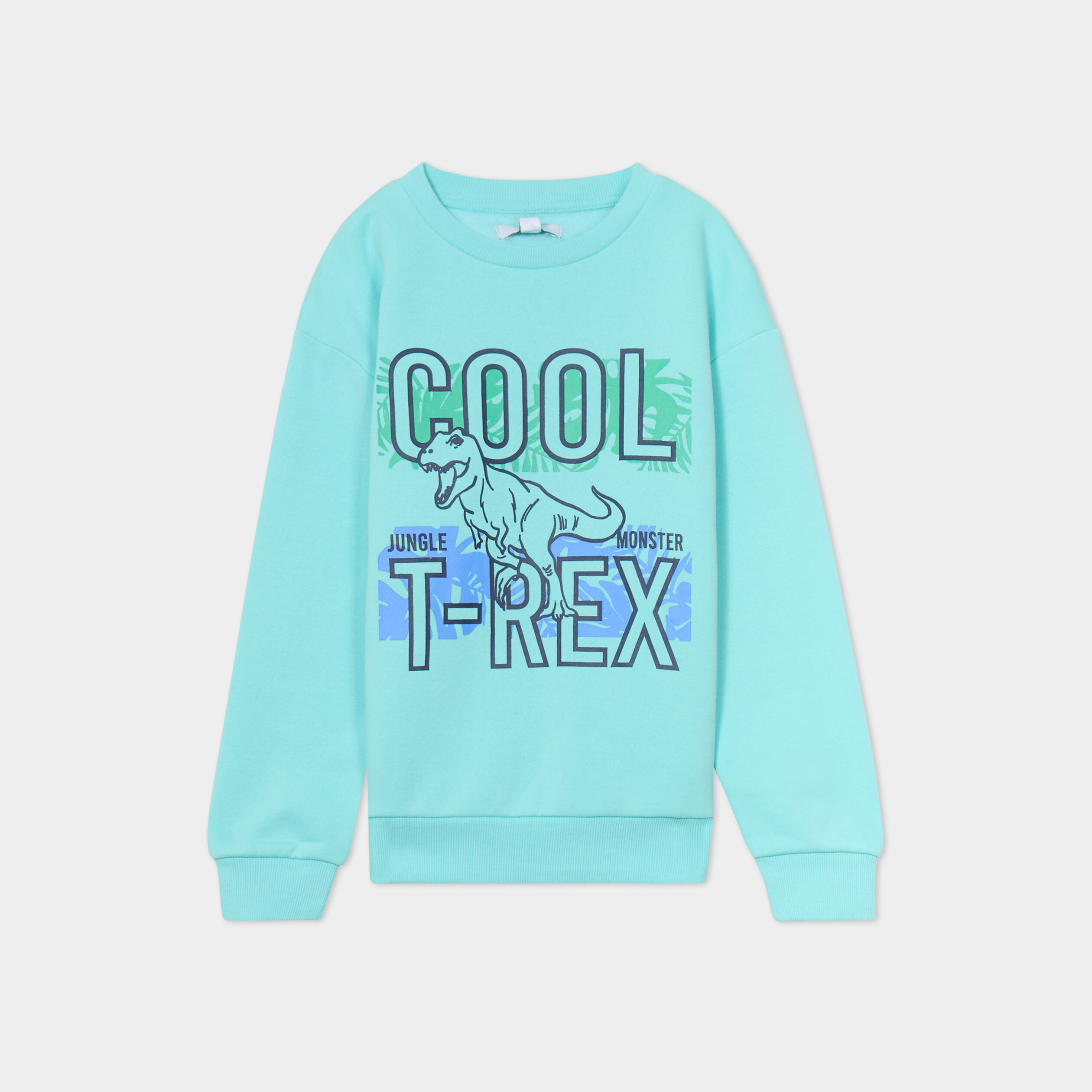 Sweat col rond manches longues bleu turquoise gar&ccedil;on