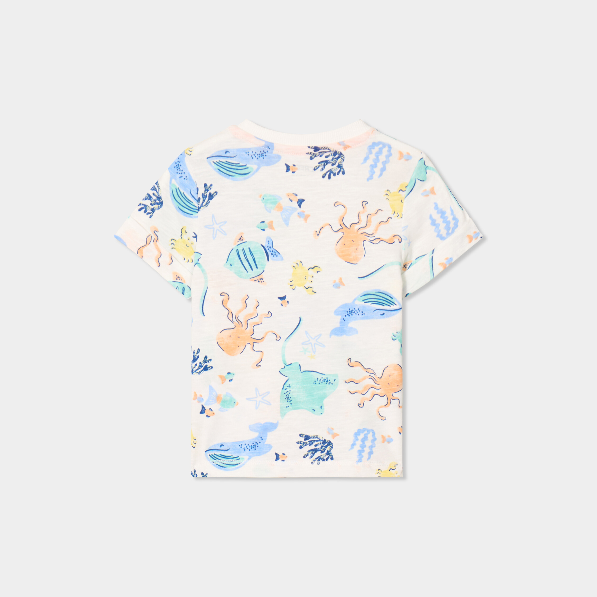 T-shirt avec manches courtes coton ecru b&eacute;b&eacute; gar&ccedil;on