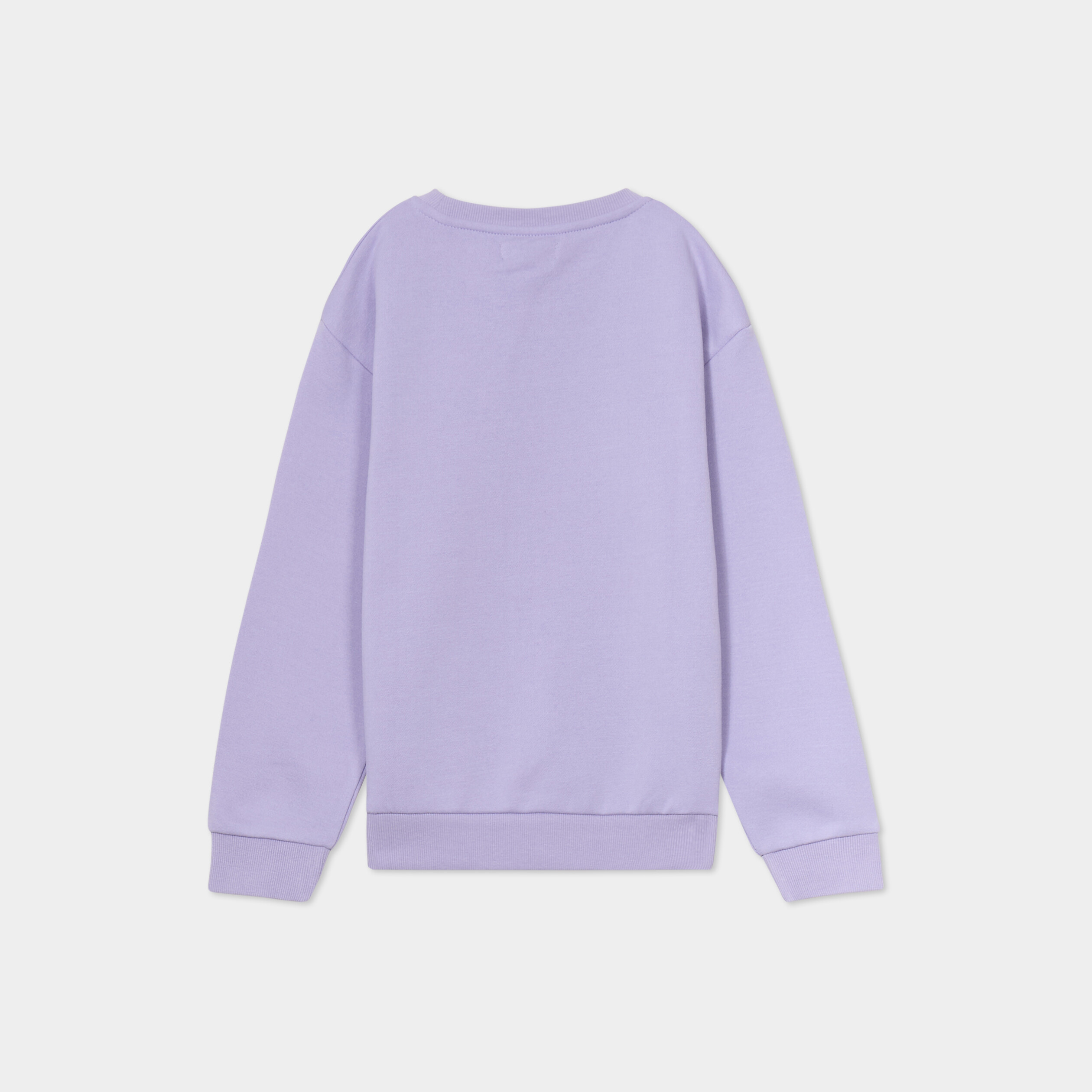 Sweat col rond manches longues mauve gar&ccedil;on