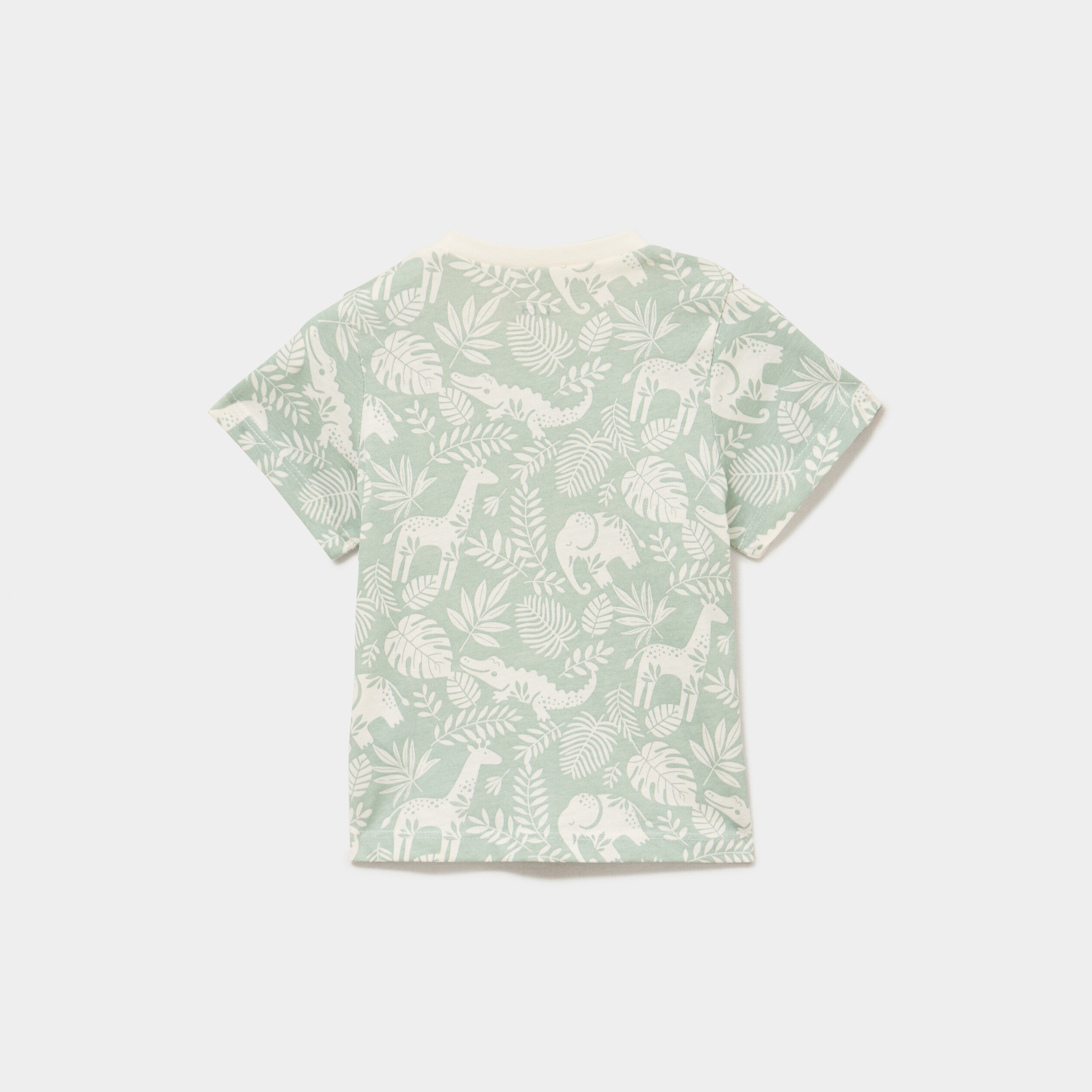T-shirt manches courtes coton vert pastel b&eacute;b&eacute; gar&ccedil;on