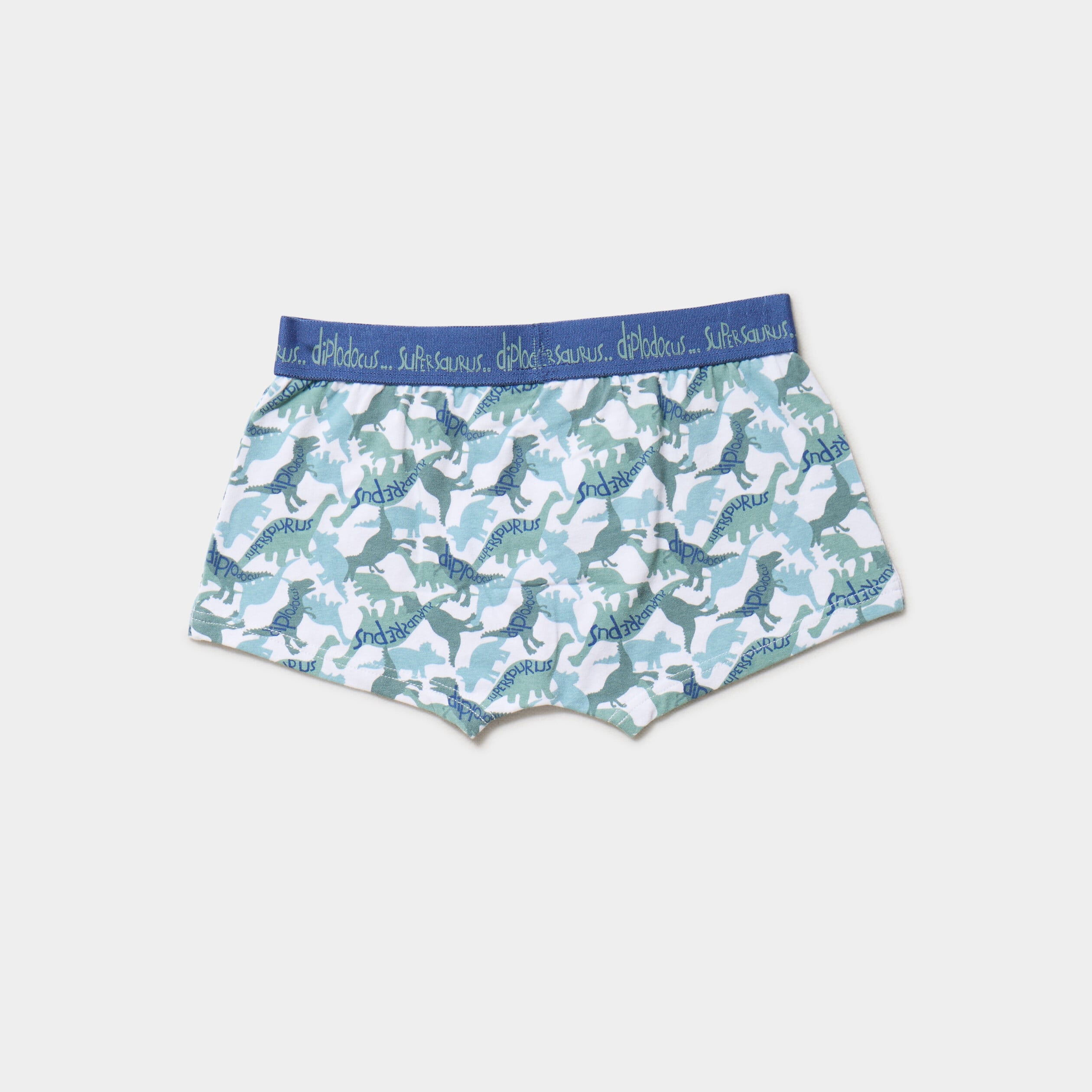 Björn Borg jongens cotton stretch 5P boxers basic jungle leaves blauw Björn Borg jongens cotton stretch 5P boxers basic jungle leaves blauw