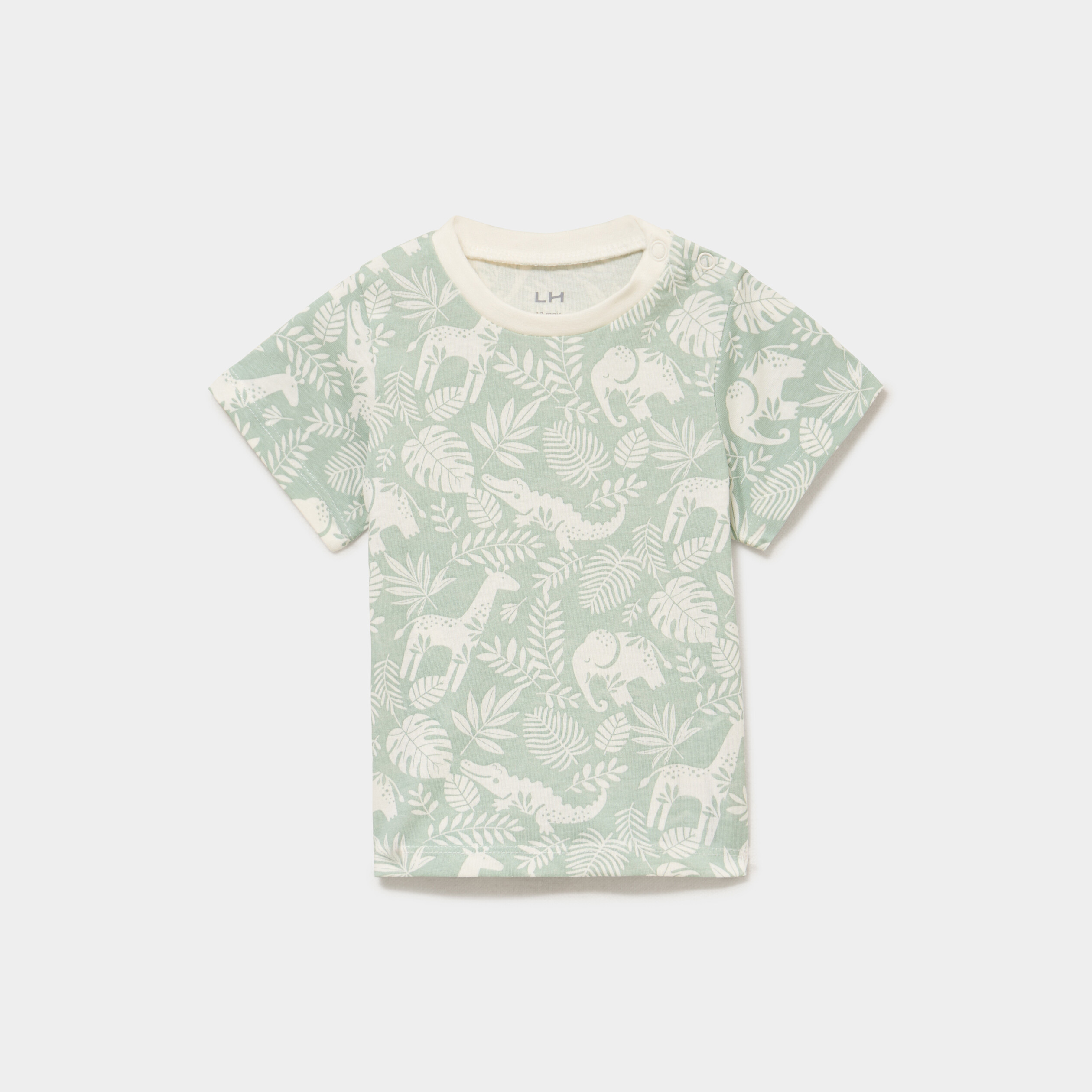 T-shirt manches courtes coton vert pastel b&eacute;b&eacute; gar&ccedil;on