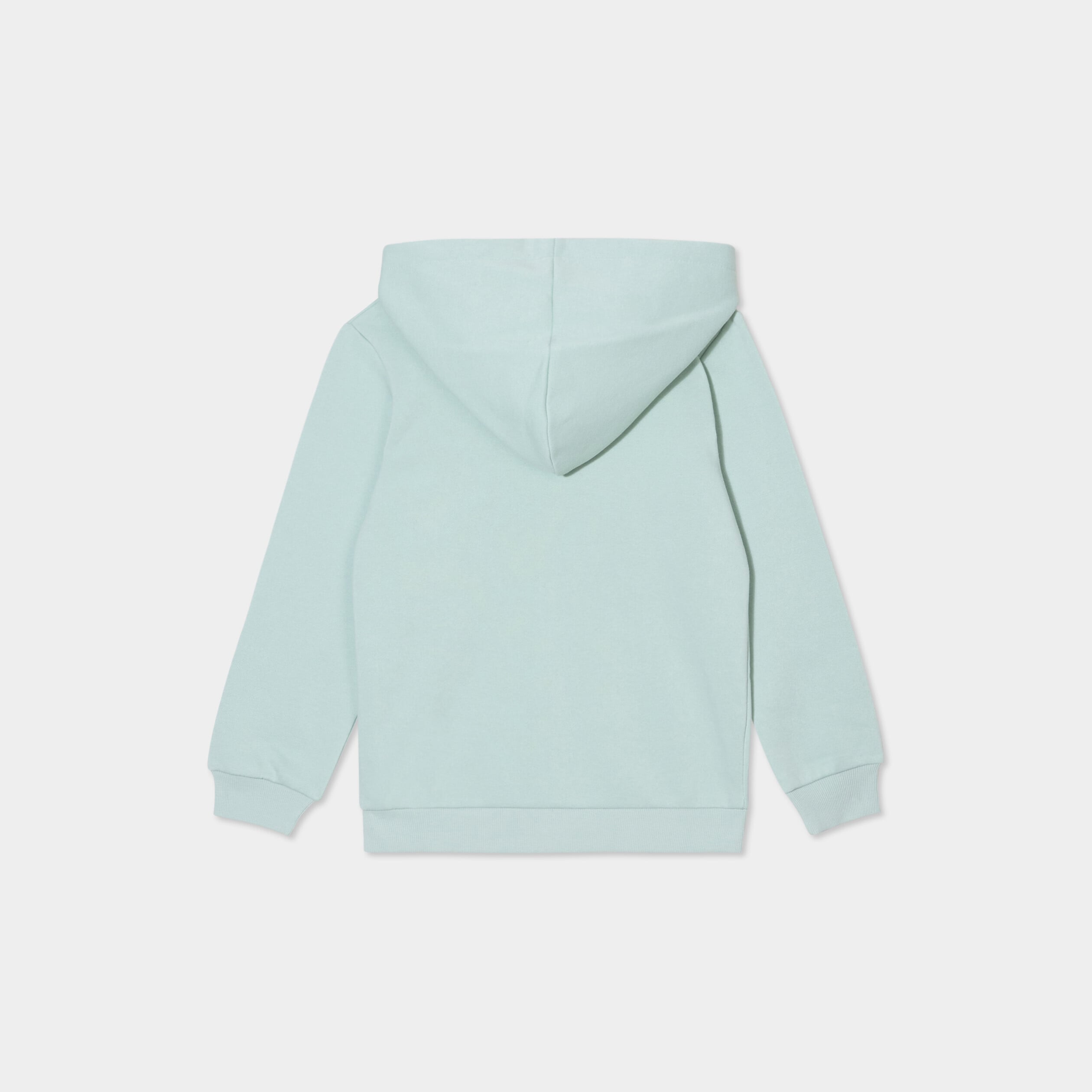 Sweat zipp&eacute; &agrave; capuche molleton vert pastel gar&ccedil;on
