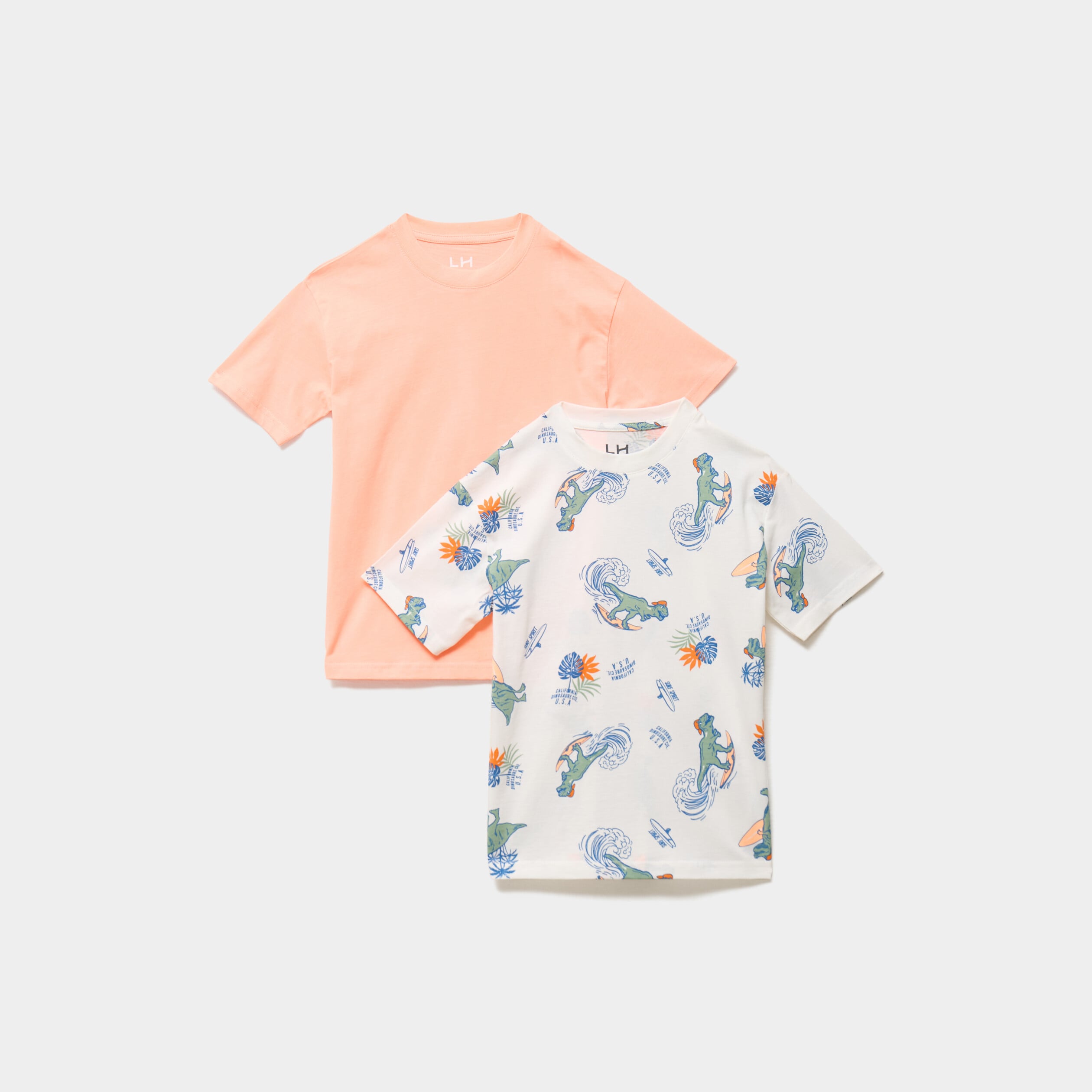 Lot 2 t-shirts manches courtes coton ecru gar&ccedil;on